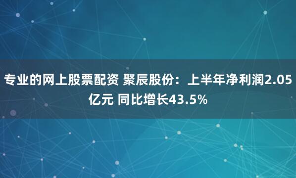 专业的网上股票配资 聚辰股份：上半年净利润2.05亿元 同比增长43.5%